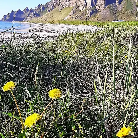 Holiday home 8 Person In Sortland-by Traum Sortland