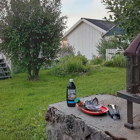 8 Person In Sortland-by Traum * Sortland