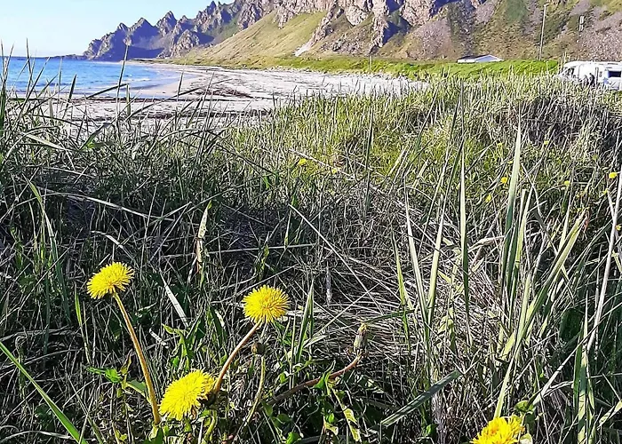 Feriehus 8 Person In Sortland-by Traum Sortland